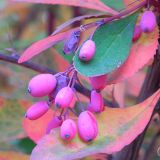 dscn3436