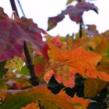 dscn3437