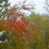 dscn3442