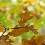 dscn3456