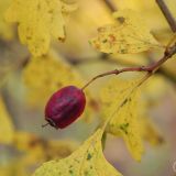 dscn3458