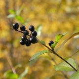 dscn3469