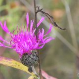 dscn3477