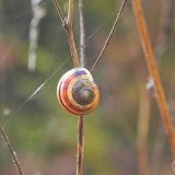 dscn3479