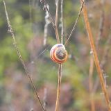 dscn3480
