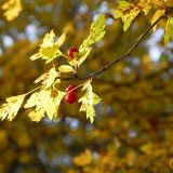 dscn3490