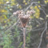 dscn3492