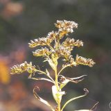 dscn3493