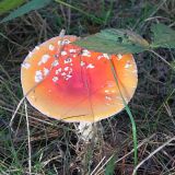 dscn3494