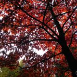 dscn3495