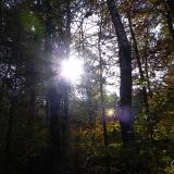 dscn3503