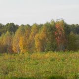 dscn3510
