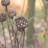 dscn3476