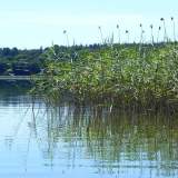 DSCN0255