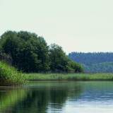 DSCN0264