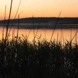 DSCN0320