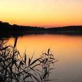 DSCN0324