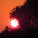 DSCN0551