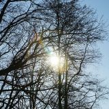 dsc00104