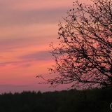 dscn3412