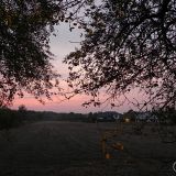 dscn3417