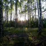 DSCN0290