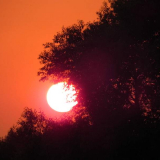 DSCN0551