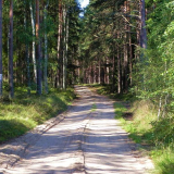 DSCN1019