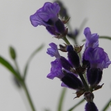dscn3134