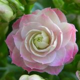 dscn3379