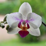 dscn3581