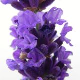dscn3597