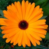 dscn3606