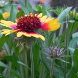 dscn3613