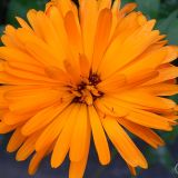 dscn3614