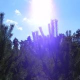 Spała 21.04.14