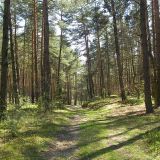 Spała