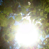 Las Kabacki 10.05.14