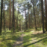 Spała