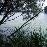 mragowo02