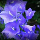 DSCN0238