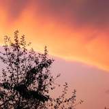 DSCN0562