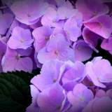 DSCN0819
