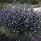 DSCN1044