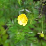 DSCN8316