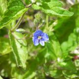 DSCN8320