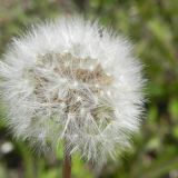 DSCN8322