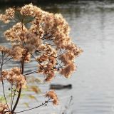 dscn3627