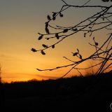 dscn4612
