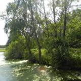 ostroda06